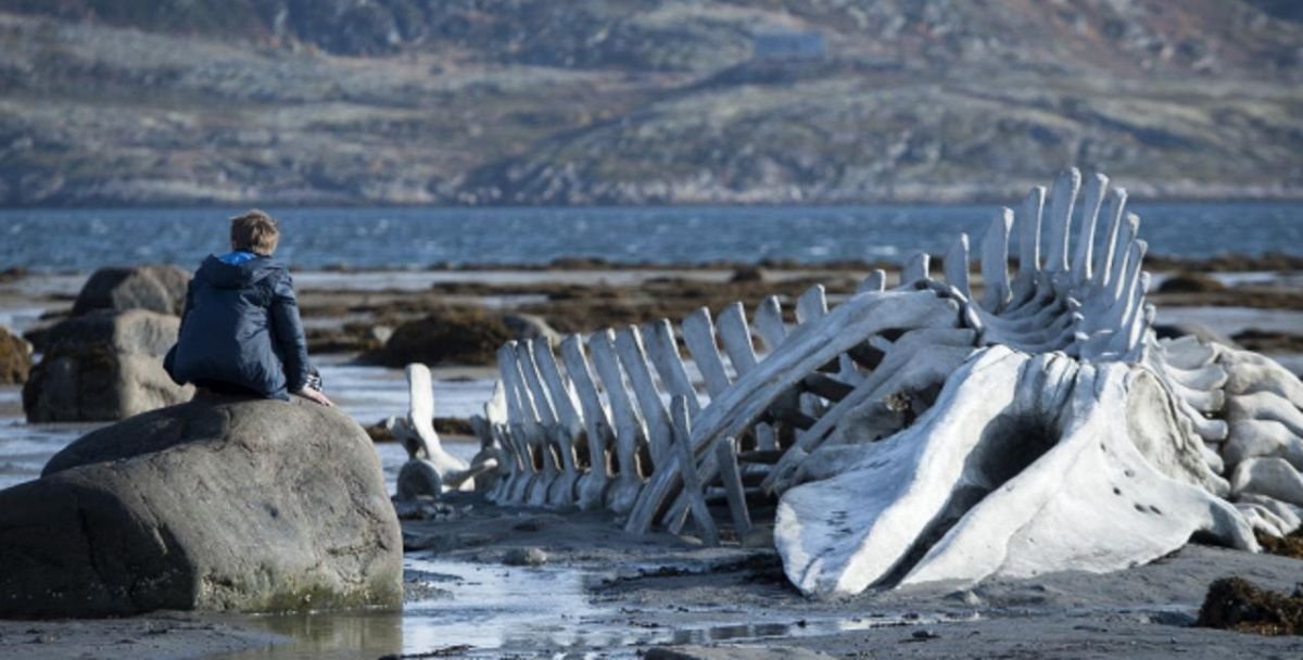Películas con C de corrupción y crisis financiera (II Parte)
